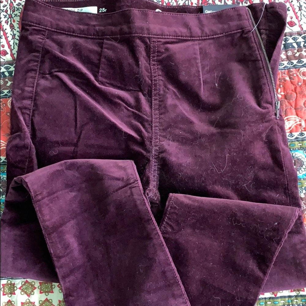 Gap Plum Side Zip Leggings 25R